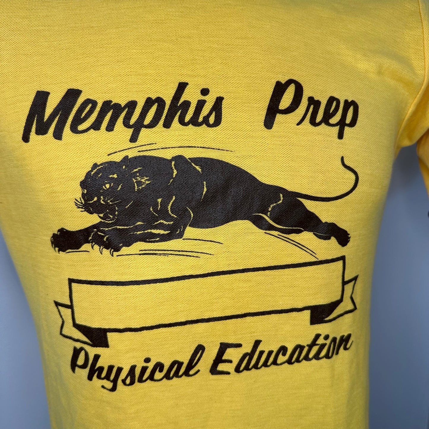 1970s Memphis Prep Panthers Physical Education T-Shirt, Velva Sheen Size XS/S, Phys Ed Gym Uniform Ringer Tee