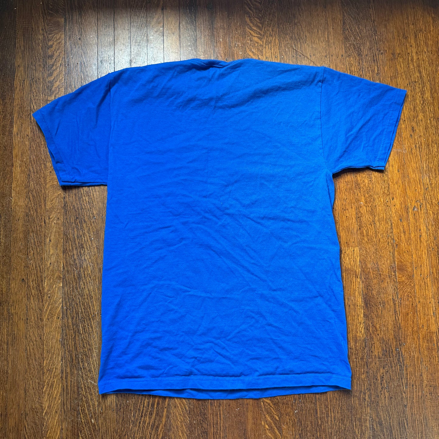 Y2K Dumb and Dumber George W Bush T-Shirt, Fruit of the Loom Size Large