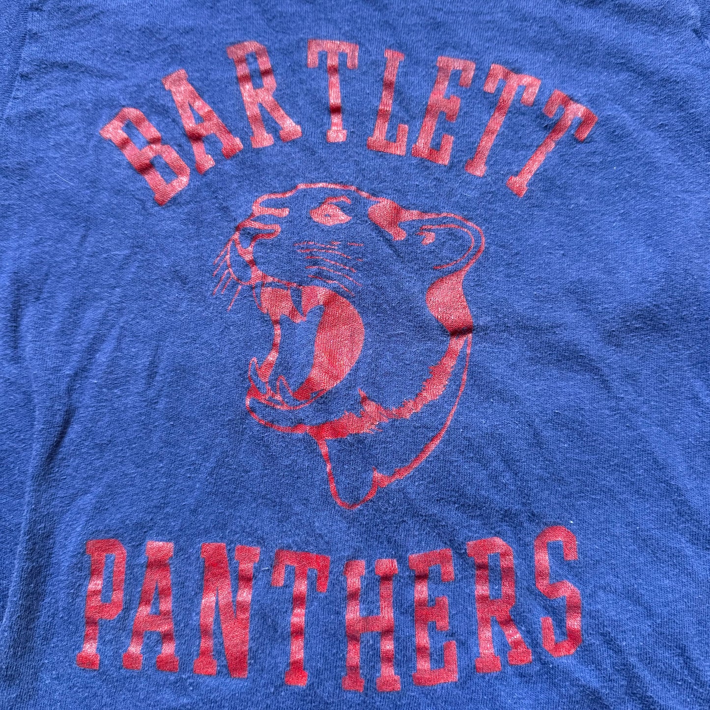 1970s Kids’ Bartlett Panthers T-Shirt, Hanes Size Youth Medium 10-12