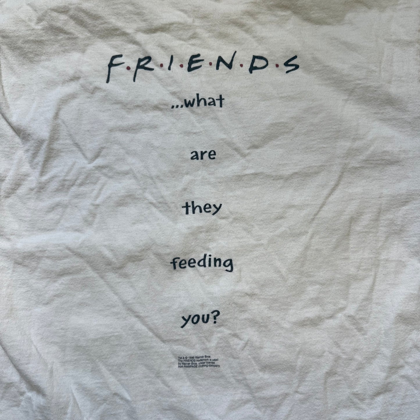 1990s Friends TV Show Smelly Cat T-Shirt, Fruit of the Loom Size Large