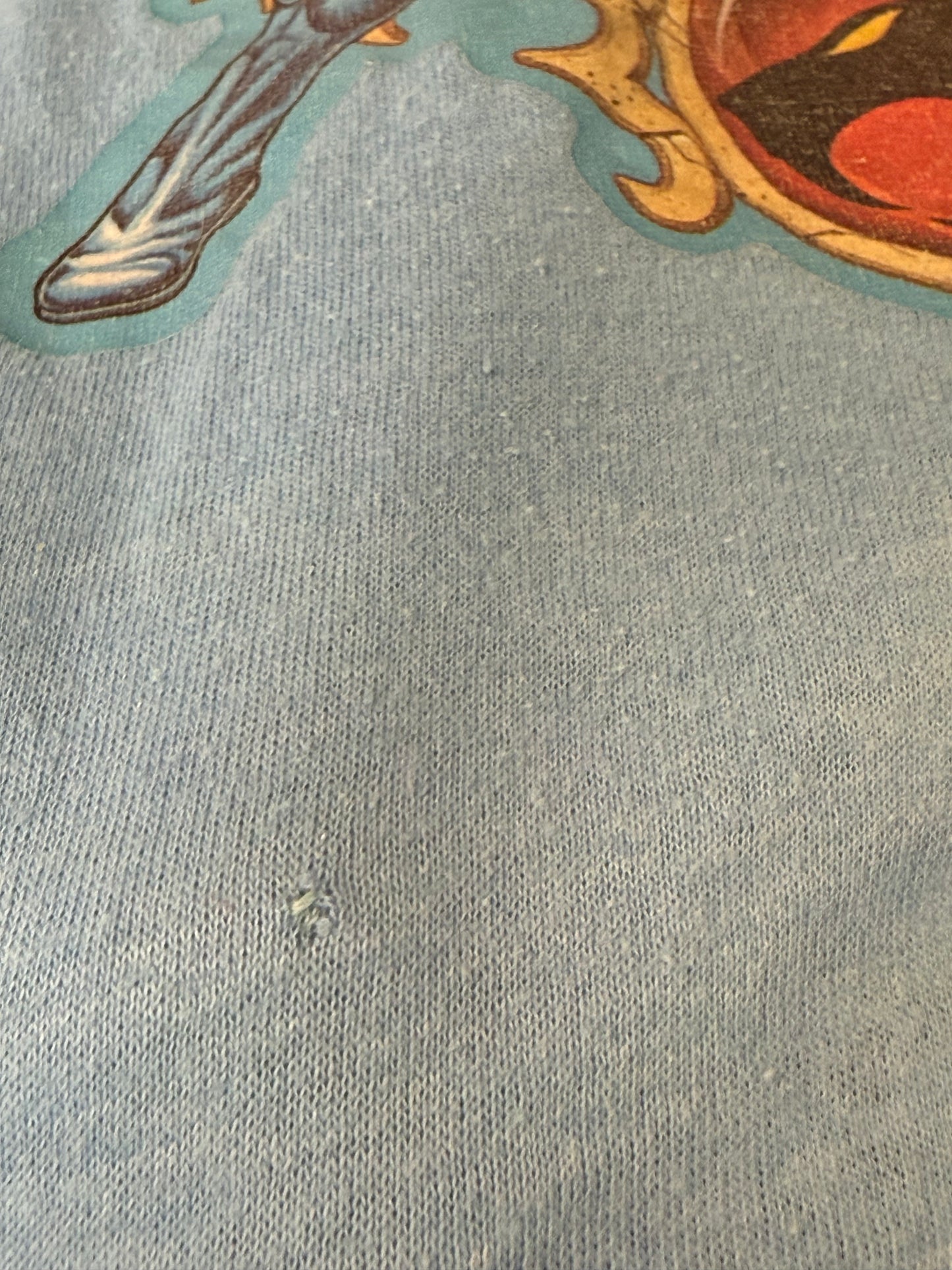 1980s Kids' Thundercats T-Shirt, Lion-O, Fruit of the Loom Size 6-8
