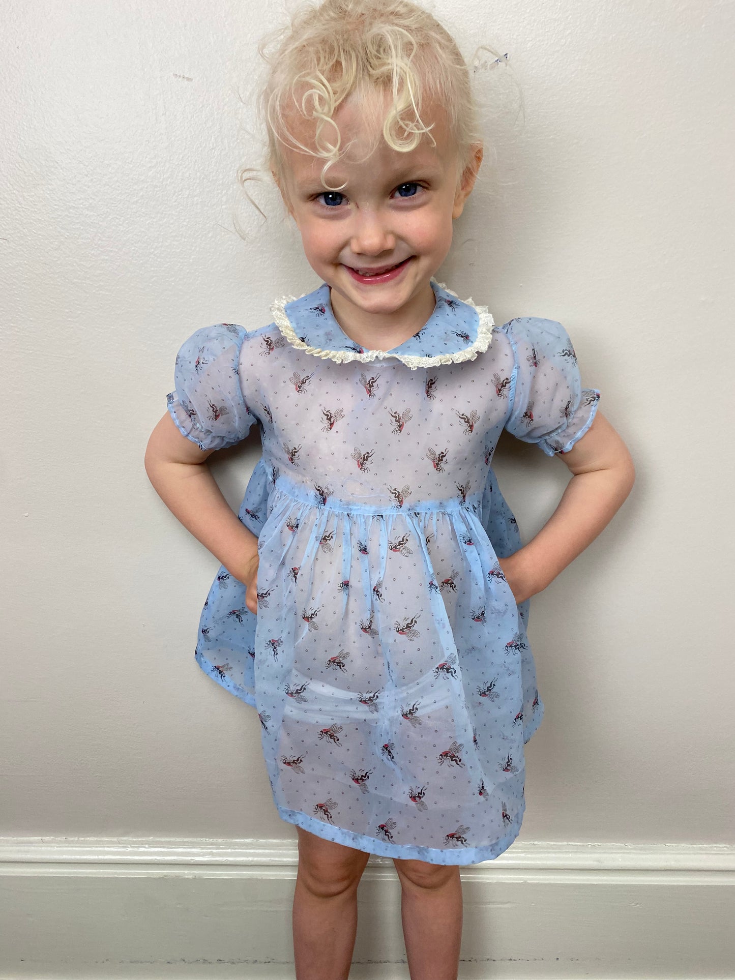 1950s Bug Print Dress, Sheer Novelty Print, Pastel Blue, Size 2T