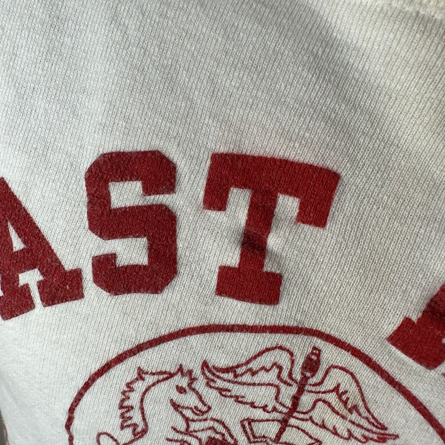 1950s East High Mustangs Sweatshirt, Champion Size Medium